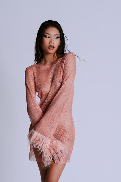 The Vivienne Mesh Dress