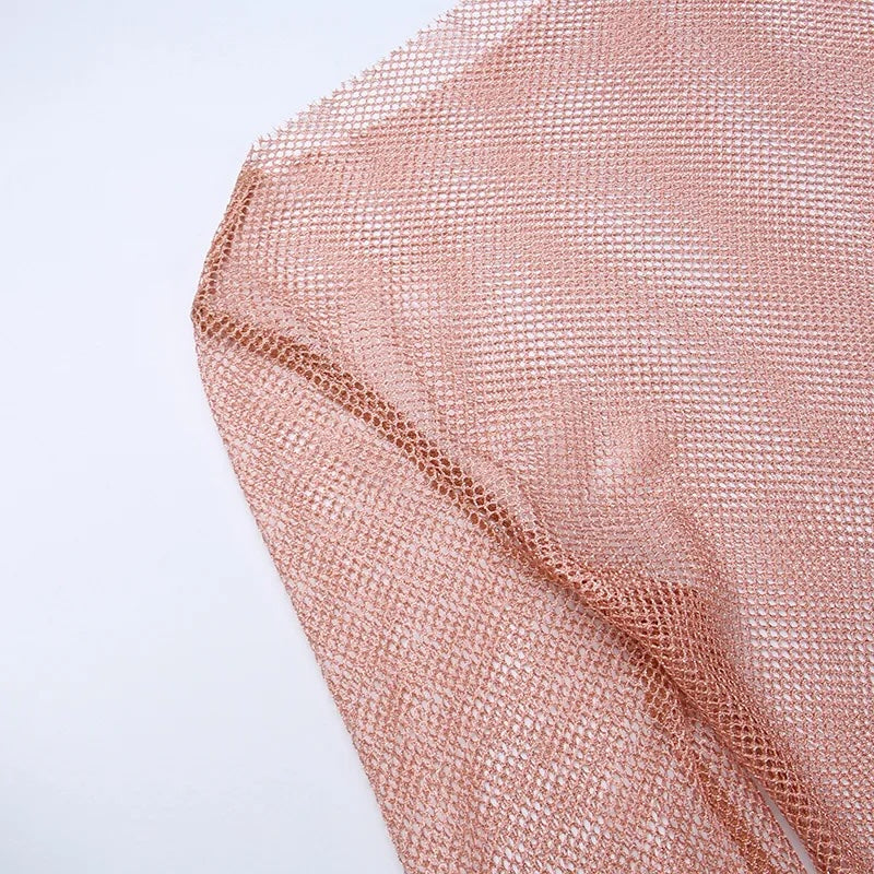 The Vivienne Mesh Dress